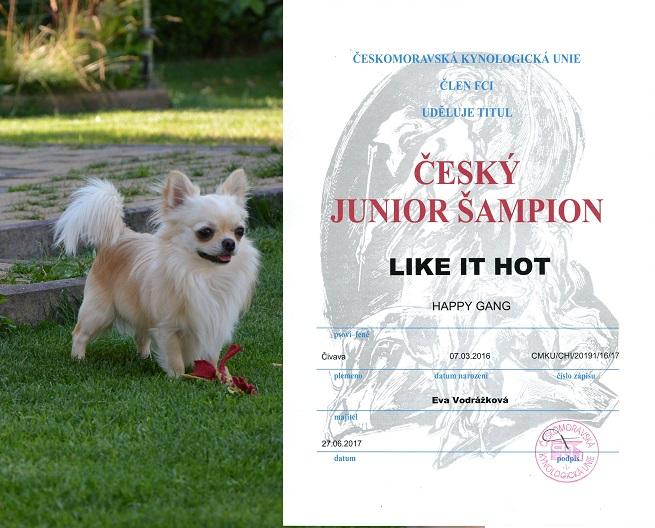 Like It Hot Happy Gang